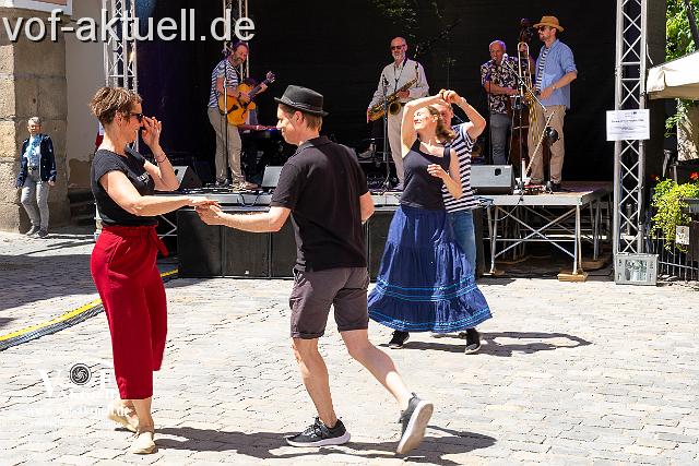 Fotto Laudi_donaujazz-8.jpg